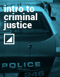 Introduction to Criminal Justice Digital Course Pack